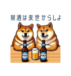 友達と飲みたい柴犬【酒クズ・おもしろい】（個別スタンプ：12）