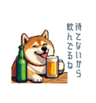 友達と飲みたい柴犬【酒クズ・おもしろい】（個別スタンプ：13）