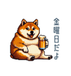 友達と飲みたい柴犬【酒クズ・おもしろい】（個別スタンプ：24）