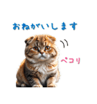 日常会話で使いやすいリアルで可愛い猫（個別スタンプ：22）