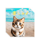 日常会話で使いやすいリアルで可愛い猫（個別スタンプ：37）