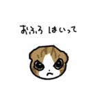 かわいいねこ^ - ^（個別スタンプ：2）