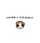 かわいいねこ^ - ^（個別スタンプ：4）