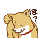 気まぐれ柴犬（個別スタンプ：2）