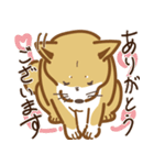 気まぐれ柴犬（個別スタンプ：3）