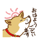 気まぐれ柴犬（個別スタンプ：8）