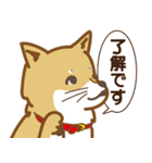 気まぐれ柴犬（個別スタンプ：19）