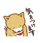 気まぐれ柴犬（個別スタンプ：21）