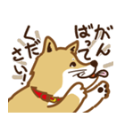 気まぐれ柴犬（個別スタンプ：25）