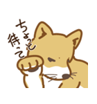 気まぐれ柴犬（個別スタンプ：27）