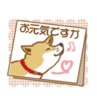 気まぐれ柴犬（個別スタンプ：29）