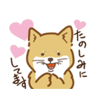 気まぐれ柴犬（個別スタンプ：31）