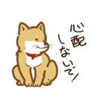 気まぐれ柴犬（個別スタンプ：32）