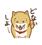 気まぐれ柴犬（個別スタンプ：33）