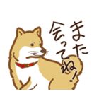 気まぐれ柴犬（個別スタンプ：37）