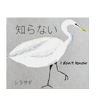 まじめなダジャレ鳥（個別スタンプ：15）