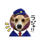 コーギー犬のちゃべす君（個別スタンプ：4）