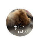 はるの日常で使えるはずなスタンプ（個別スタンプ：9）