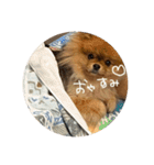 はるの日常で使えるはずなスタンプ（個別スタンプ：15）