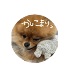 はるの日常で使えるはずなスタンプ（個別スタンプ：33）