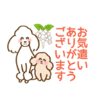 (犬)うるわしのプードル5 敬語/丁寧/毎日（個別スタンプ：7）