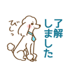 (犬)うるわしのプードル5 敬語/丁寧/毎日（個別スタンプ：14）