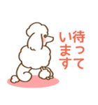 (犬)うるわしのプードル5 敬語/丁寧/毎日（個別スタンプ：32）