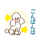 (犬)うるわしのプードル5 敬語/丁寧/毎日（個別スタンプ：39）