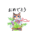 茶猫＿夏（個別スタンプ：13）