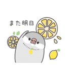 夏＊文鳥デイズのスタンプ（個別スタンプ：29）