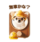 雨の日のチワワに癒されるスタンプ[BIG]（個別スタンプ：27）