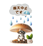 雨の日のチワワに癒されるスタンプ[BIG]（個別スタンプ：38）