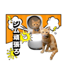 ウタとウミのほのぼの日記.ver2（個別スタンプ：3）