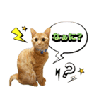 ウタとウミのほのぼの日記.ver2（個別スタンプ：4）