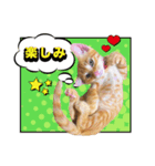 ウタとウミのほのぼの日記.ver2（個別スタンプ：5）