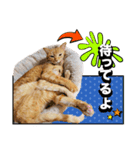 ウタとウミのほのぼの日記.ver2（個別スタンプ：6）