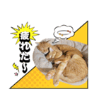 ウタとウミのほのぼの日記.ver2（個別スタンプ：8）