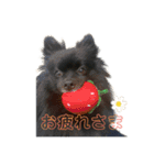 さちのすけスタンプくん（個別スタンプ：11）