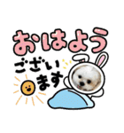 マルシーズーのぱるむ（個別スタンプ：1）