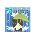 ハチワレぶーにゃん★猛暑★大雨★日常★夏（個別スタンプ：22）