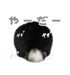 たれみみうさぎ♡うにちゃん5（個別スタンプ：18）