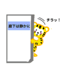 熱血トラちゃんの、熱い夏の思い出（個別スタンプ：11）