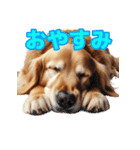 AI 犬 ラブラドール・レトリーバー（個別スタンプ：2）