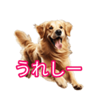 AI 犬 ラブラドール・レトリーバー（個別スタンプ：4）