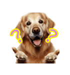 AI 犬 ラブラドール・レトリーバー（個別スタンプ：8）