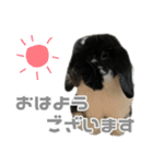 たれみみうさぎ♡うにちゃん4（個別スタンプ：2）