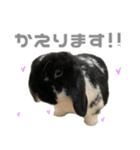 たれみみうさぎ♡うにちゃん4（個別スタンプ：7）