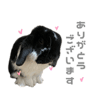 たれみみうさぎ♡うにちゃん4（個別スタンプ：10）