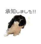 たれみみうさぎ♡うにちゃん4（個別スタンプ：11）