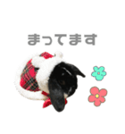 たれみみうさぎ♡うにちゃん4（個別スタンプ：14）